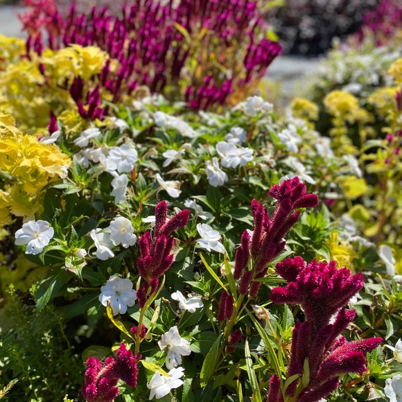 Meet your Posher - Picture 2 of 11